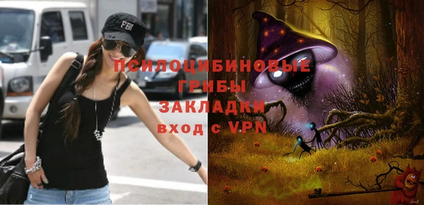 тгк Балахна